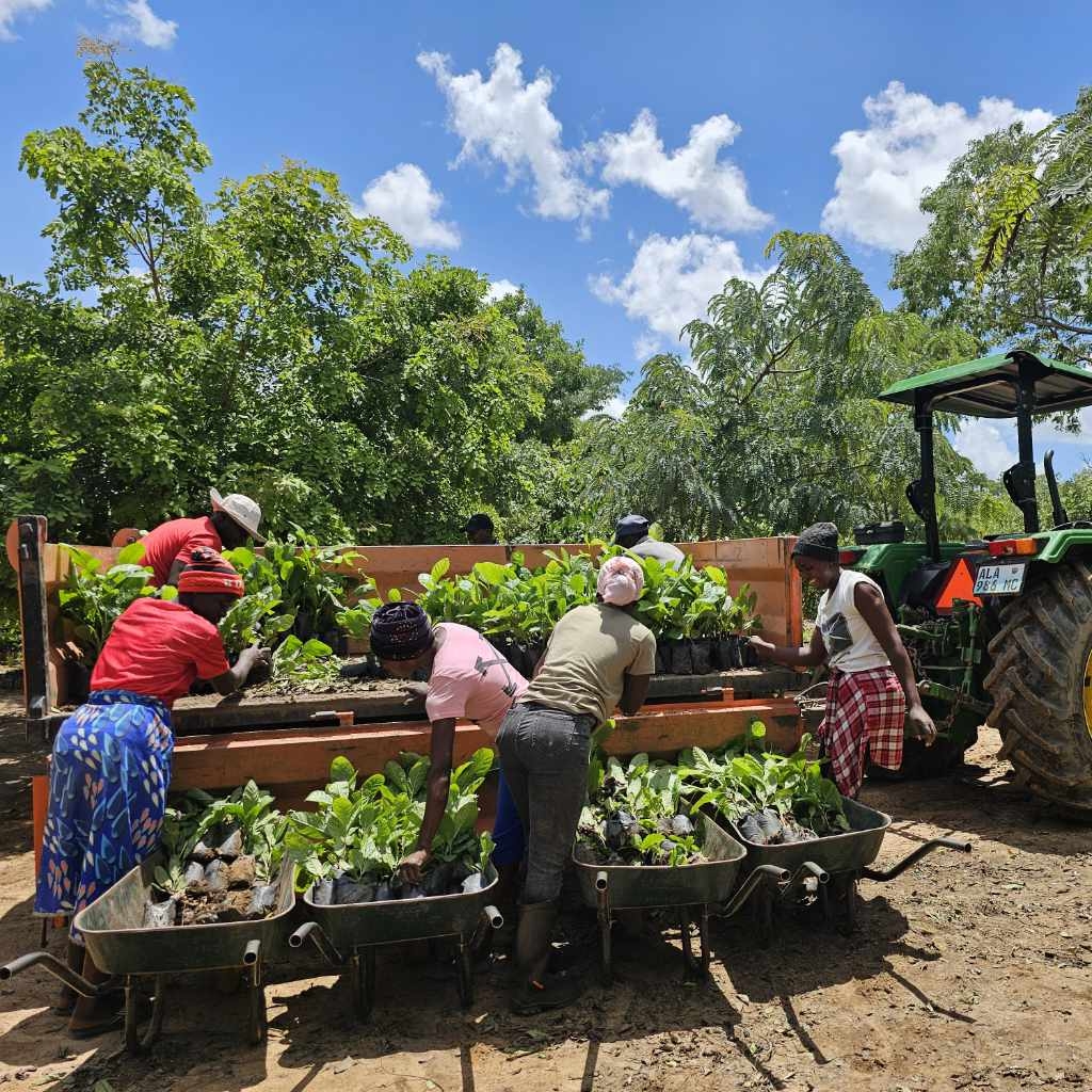 Foundation Partnerships Eden People Planet