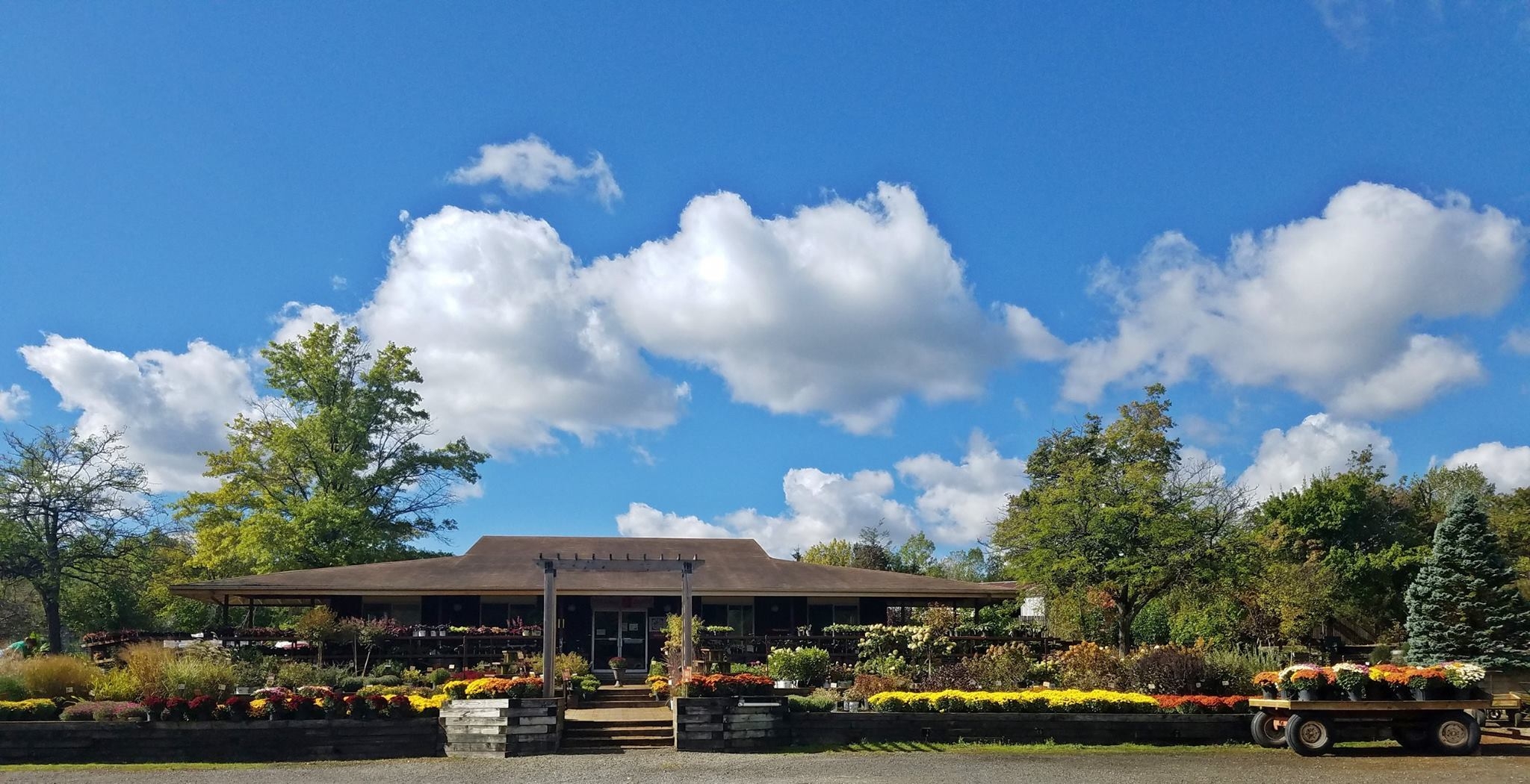 Four Seasons Landscaping Nursery