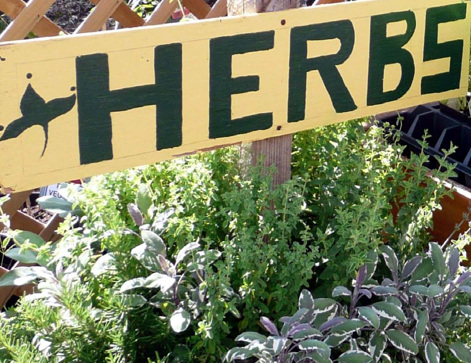 Free Gardening Classes At Covington s Nursery Blue Ribbon News