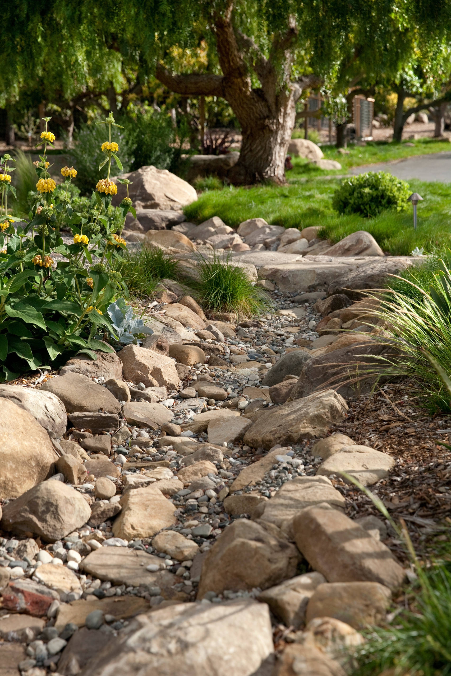 Front Yard Dry Creek Bed Photos Ideas Houzz