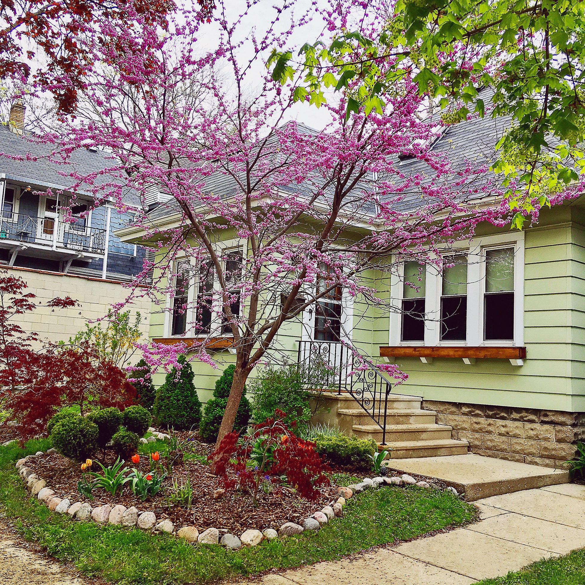 Front Yard Landscaping Ideas For Curb Appeal HouseLogic