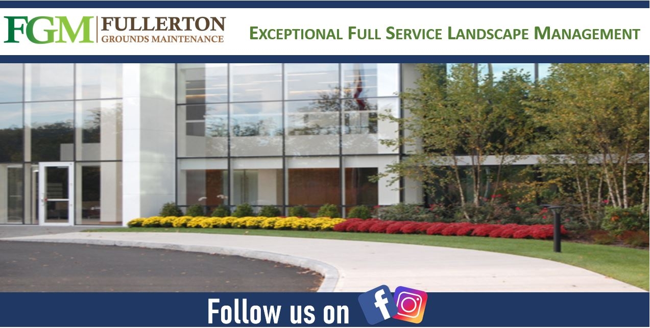 berkshire office sites plant landscaper