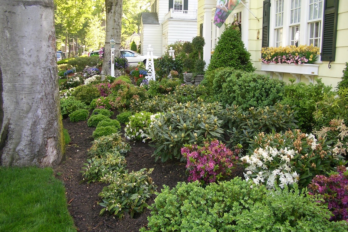 Gallery video T Distefano Garden Center