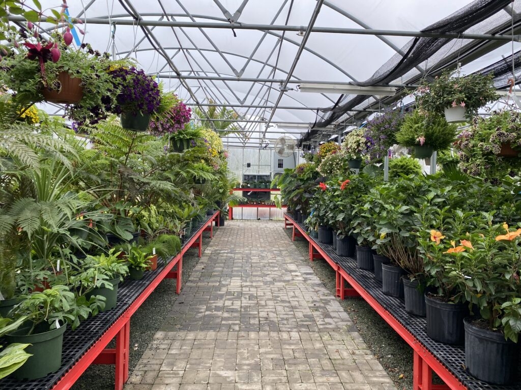 Garden Center Bella Terra Landscapes