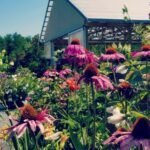 Garden Center GreenScapes Garden Center Landscape Co 
