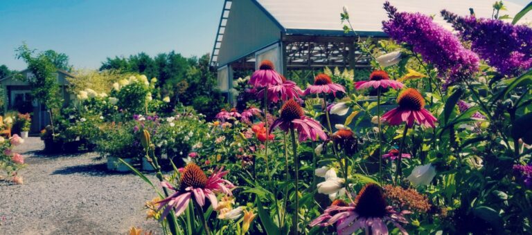 Garden Center GreenScapes Garden Center Landscape Co 
