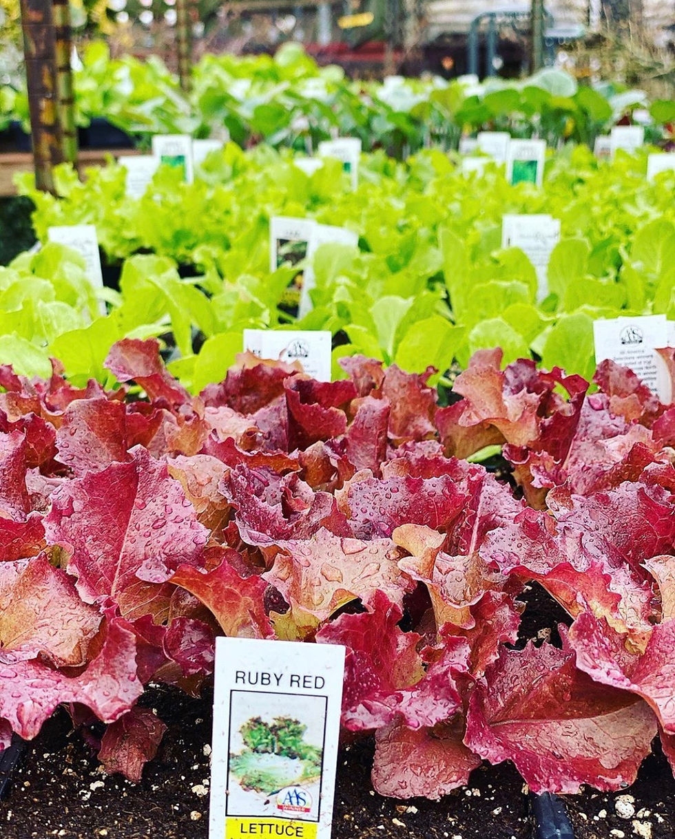 Garden Center Rising Up Garden Center United States Garden Center Rising Up Garden Center United States