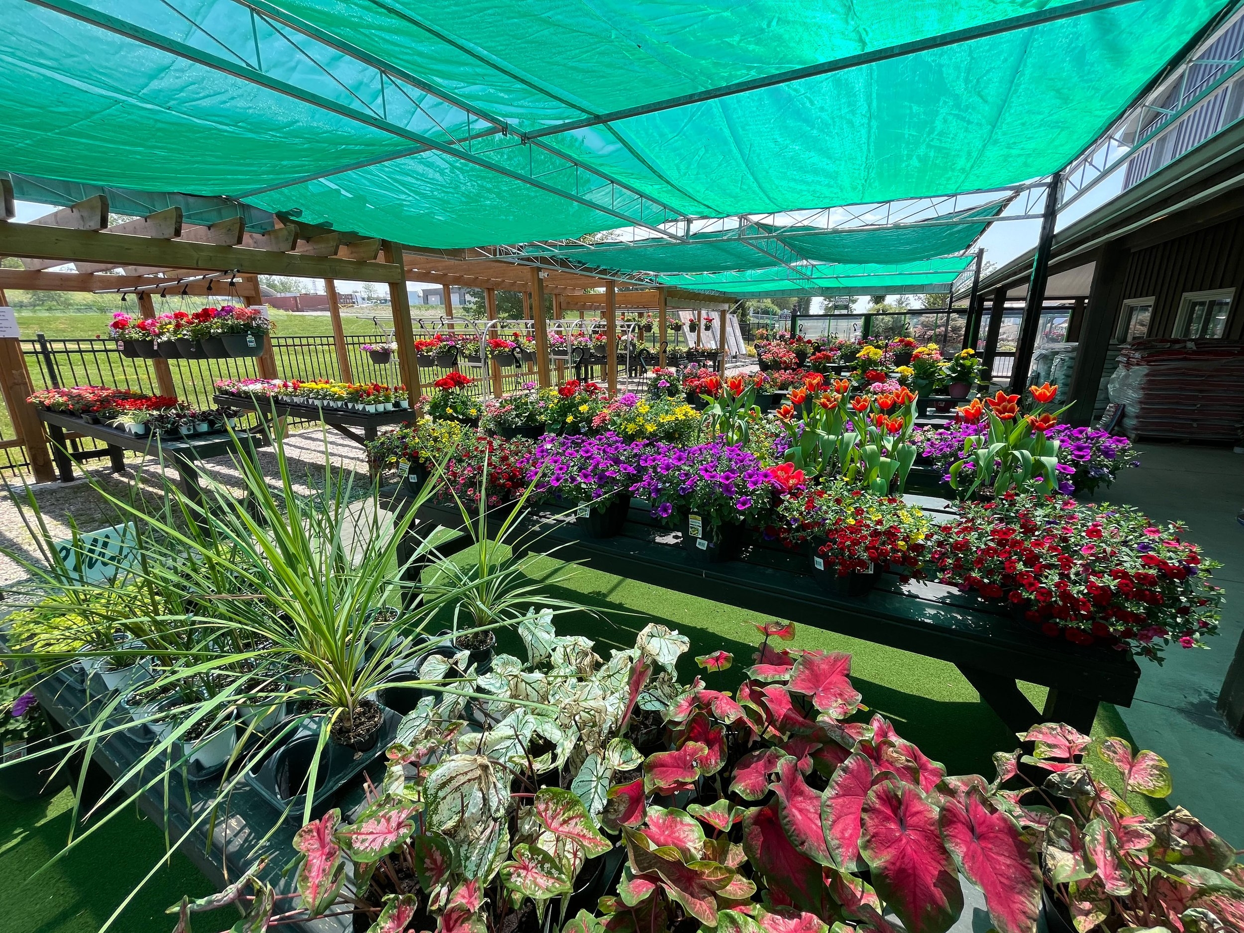 Garden Centre B D Landscaping Garden Centre