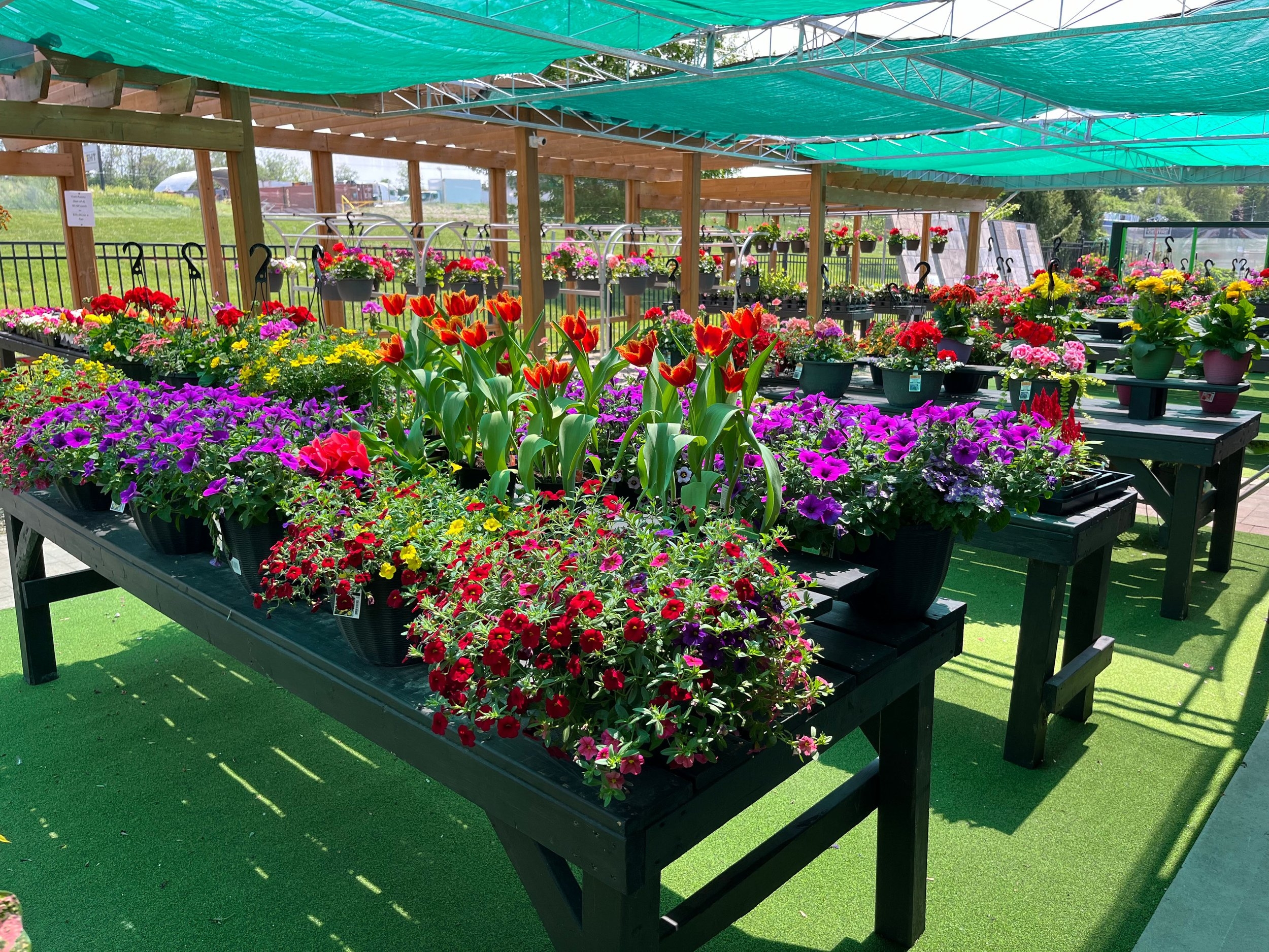 Garden Centre B D Landscaping Garden Centre