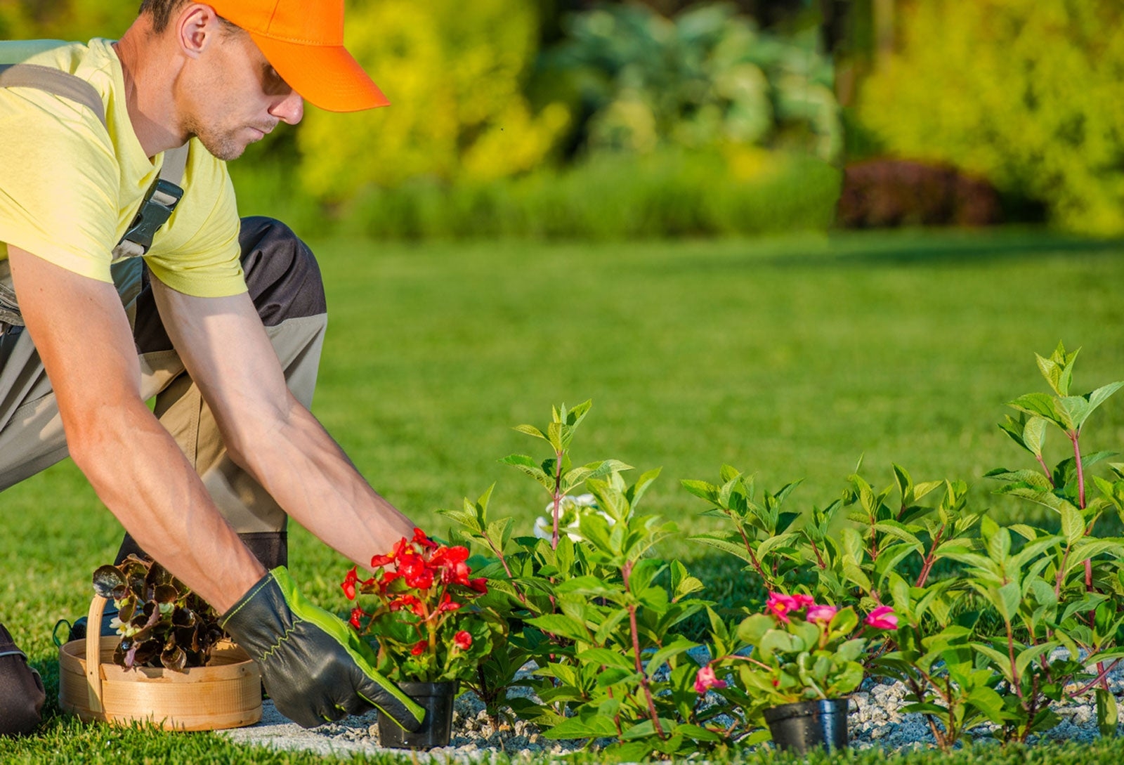 Garden Design And Landscape Finding A Landscaper For Gardens Gardening Know How
