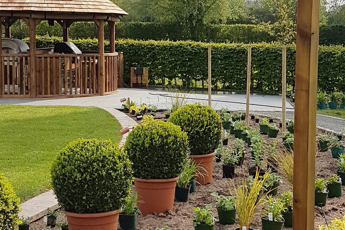 Garden Design Landscape Gardening Birmingham By Gardenplan Design