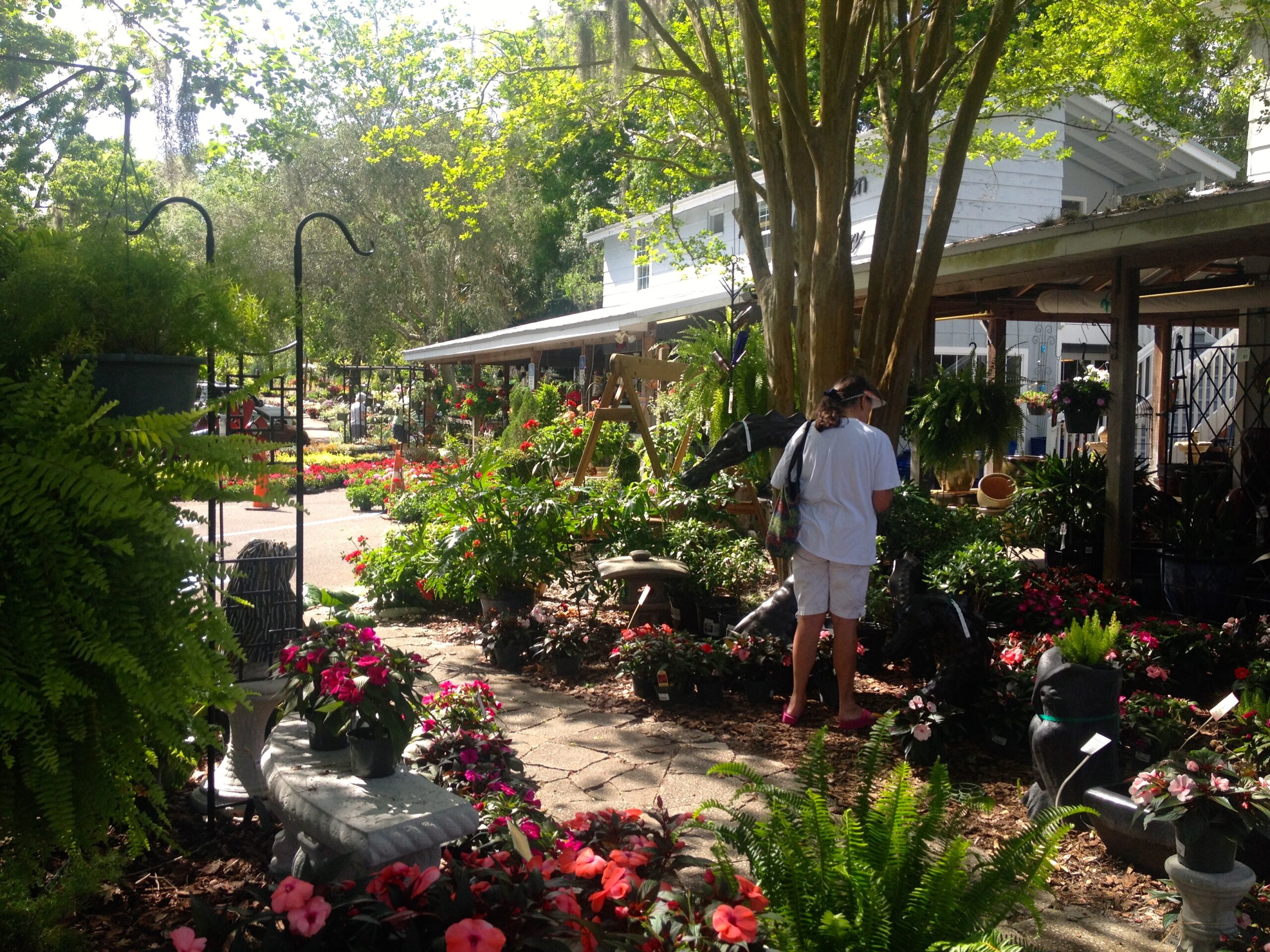 Garden Gate Nursery Gainesville s Hometown Nursery