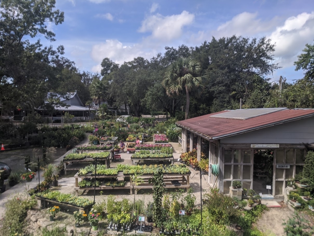 Garden Gate Nursery Gainesville s Hometown Nursery