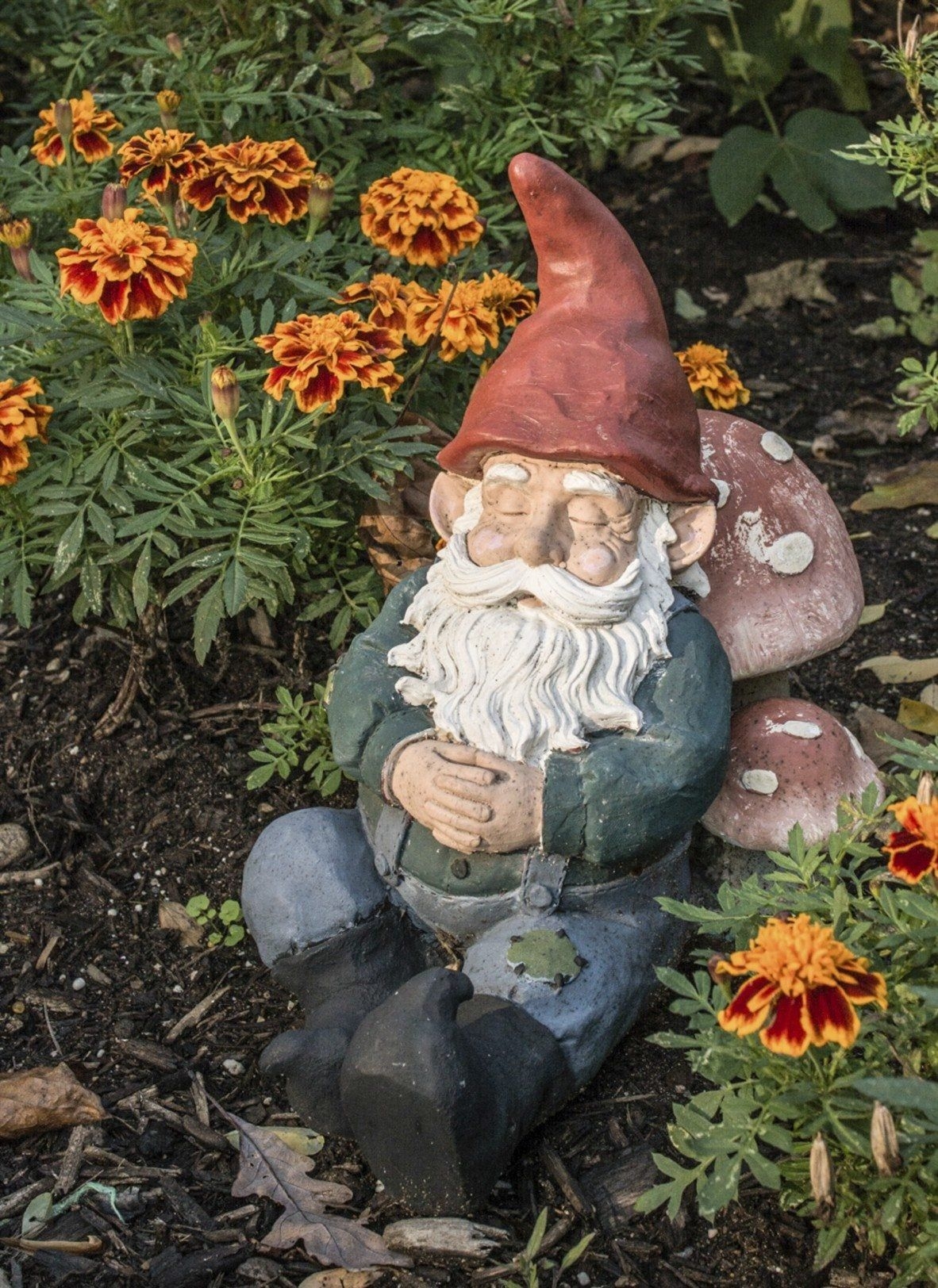 Garden Gnome Information Learn About The History Of Garden Gnomes Gardening Know How