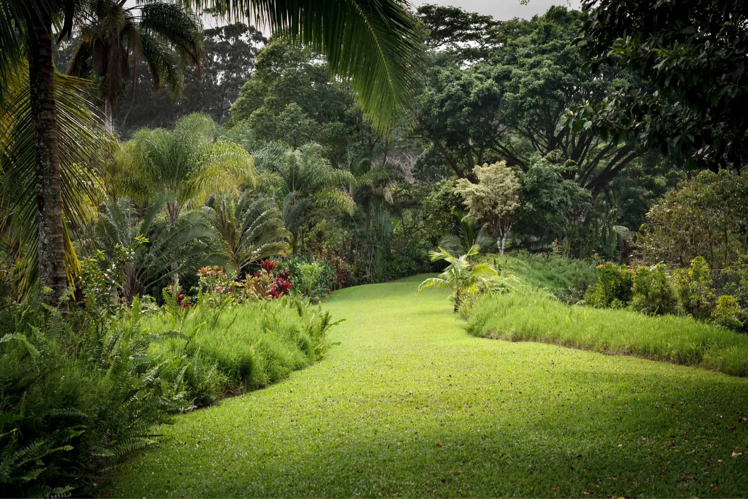 garden of eden landscaping