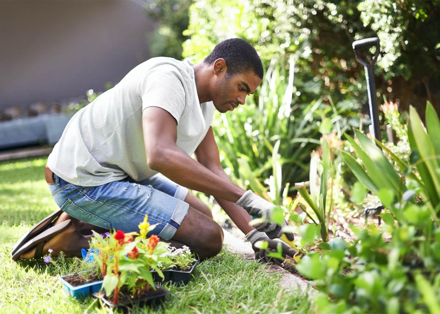 Gardener Find Gardeners Near Me Gardening Landscaping Service