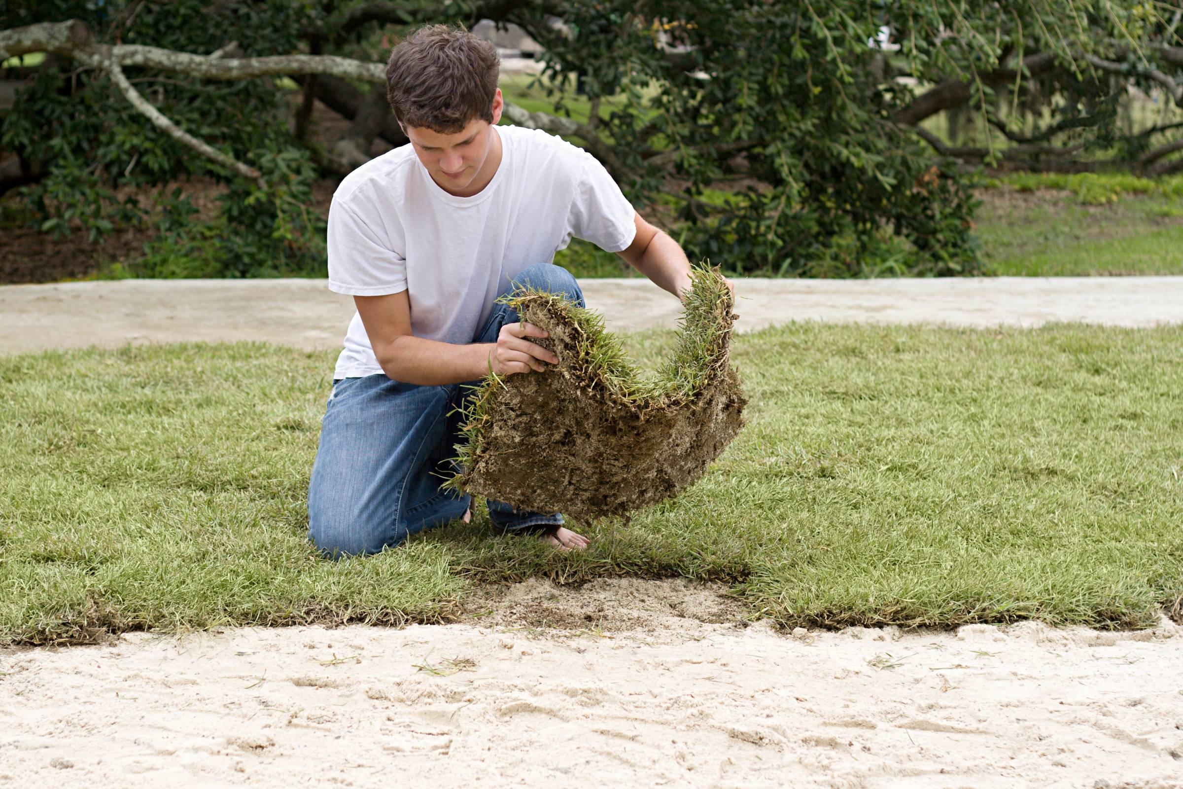 Gardener Vs Landscaper How Are They Different Airtasker US
