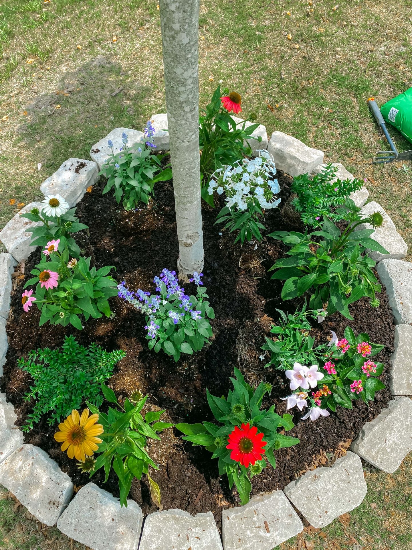 Gardening Project Flower Border Around The Backyard Trees 