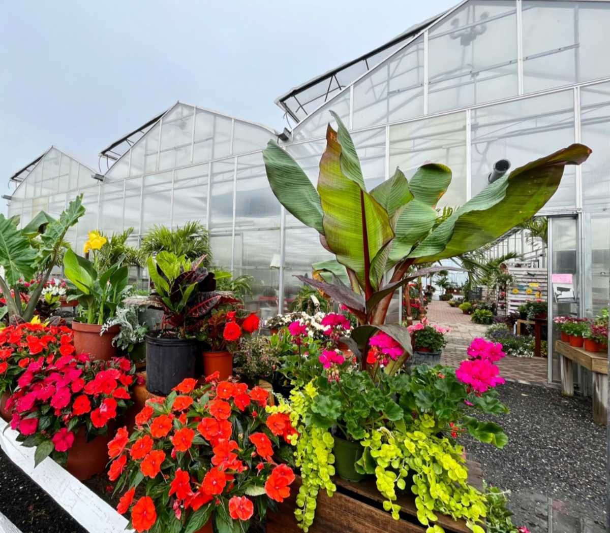 GardenWorx Farm Garden In Riverhead NY Garden Center Greenhouse
