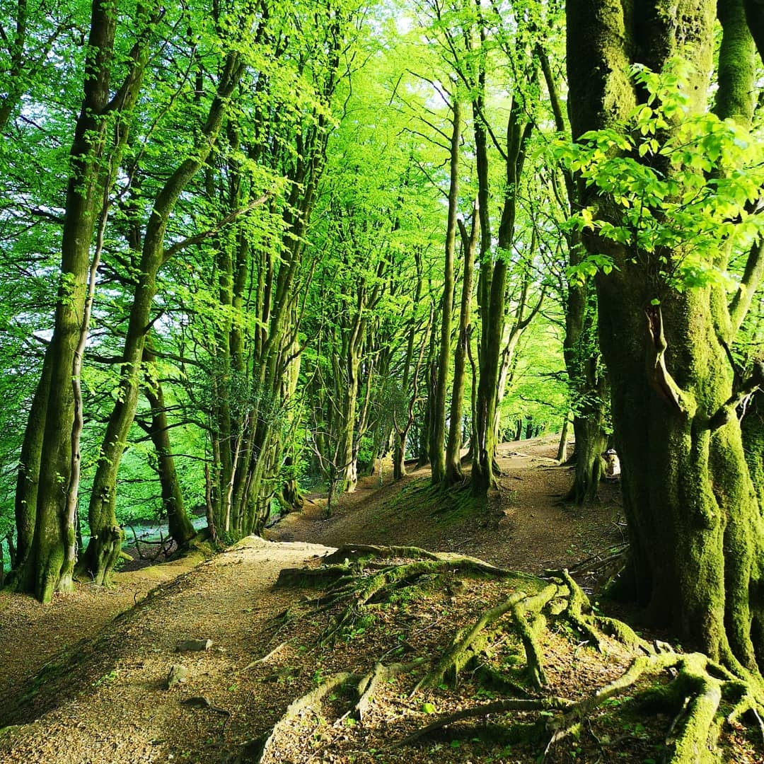 Getting Naturally Healthy In Blackdown Hills AONB Blackdown Hills National Landscape