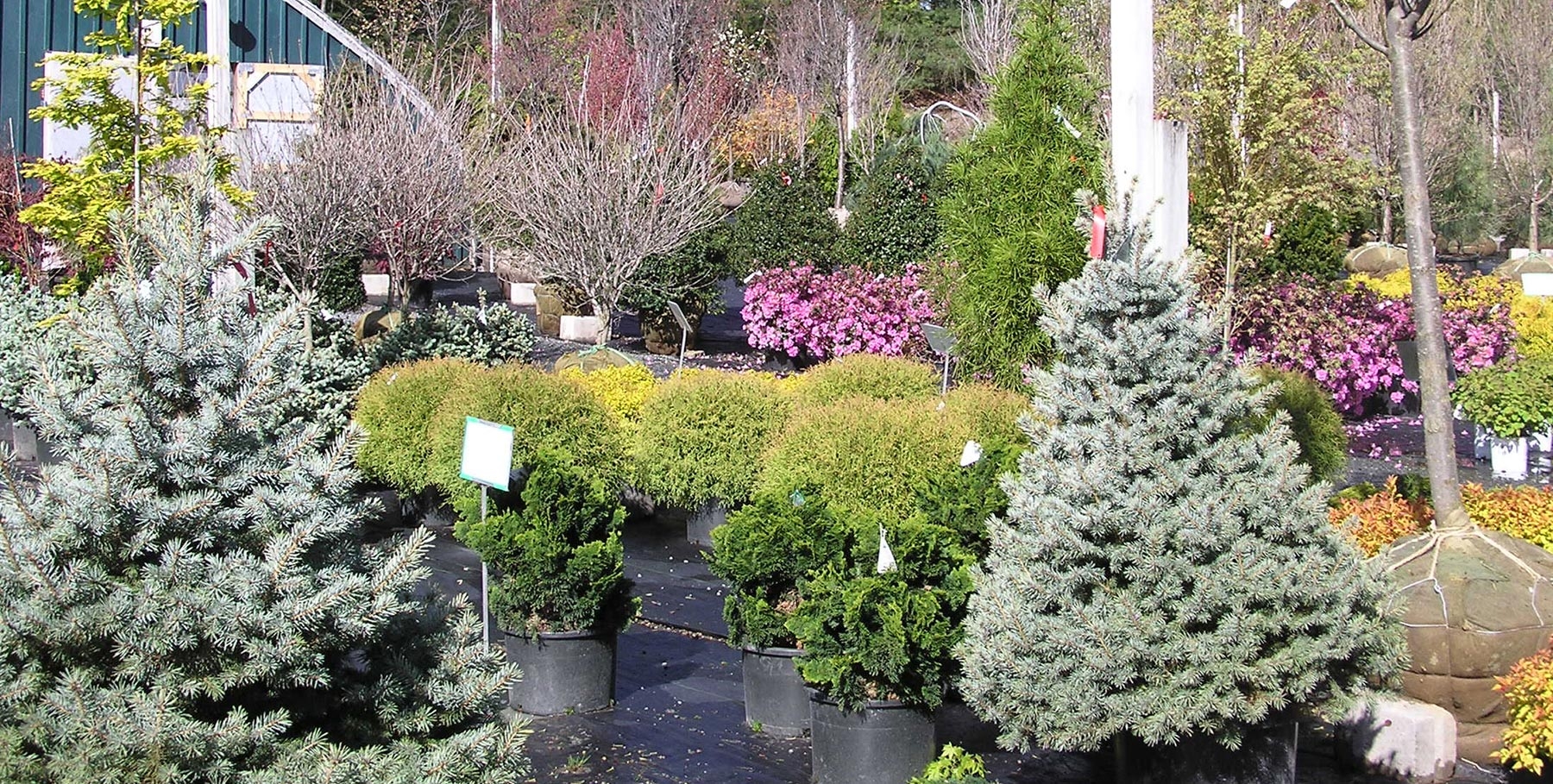Gillis Landscape Garden Center Gillislandscape