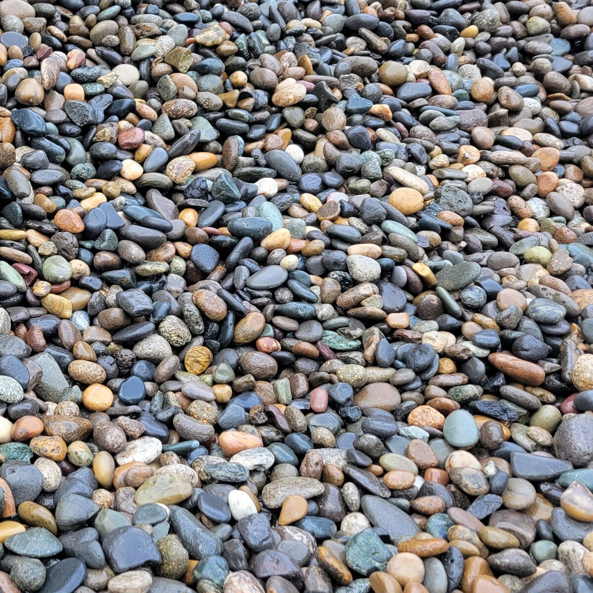 Glacier River Rock 3 4 1 1 2 Portland Rock Landscape Supply Portland OR