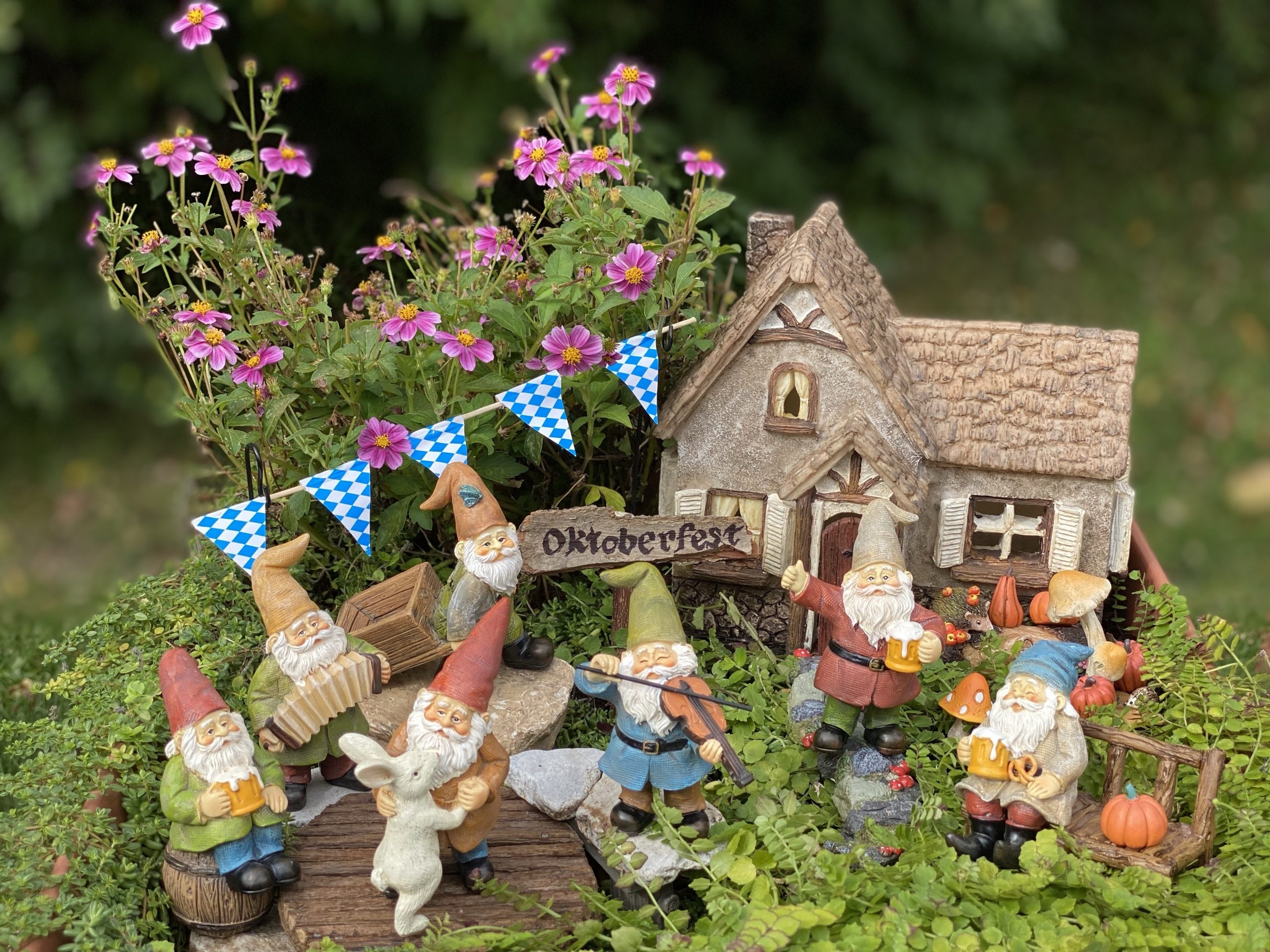 garden gnome landscaping