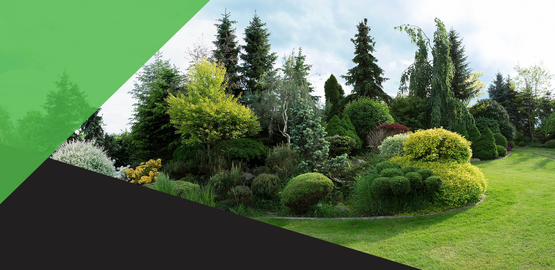 Go Green Lawncare Landscaping Arborist More