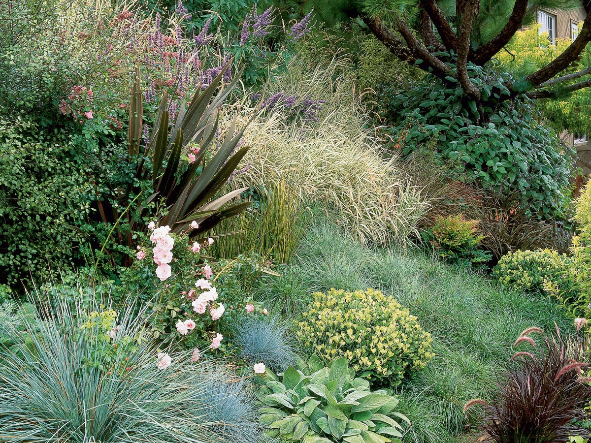 Gorgeous Grasses Sunset Magazine
