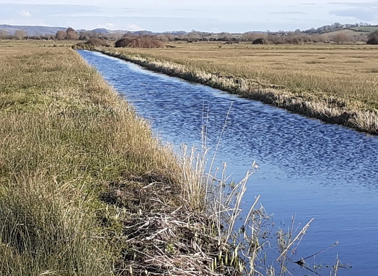 landscape recovery scheme