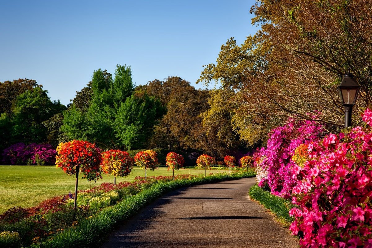 Green Garden Landscaping LLC Serving Sanford NC And Surrounding Areas 
