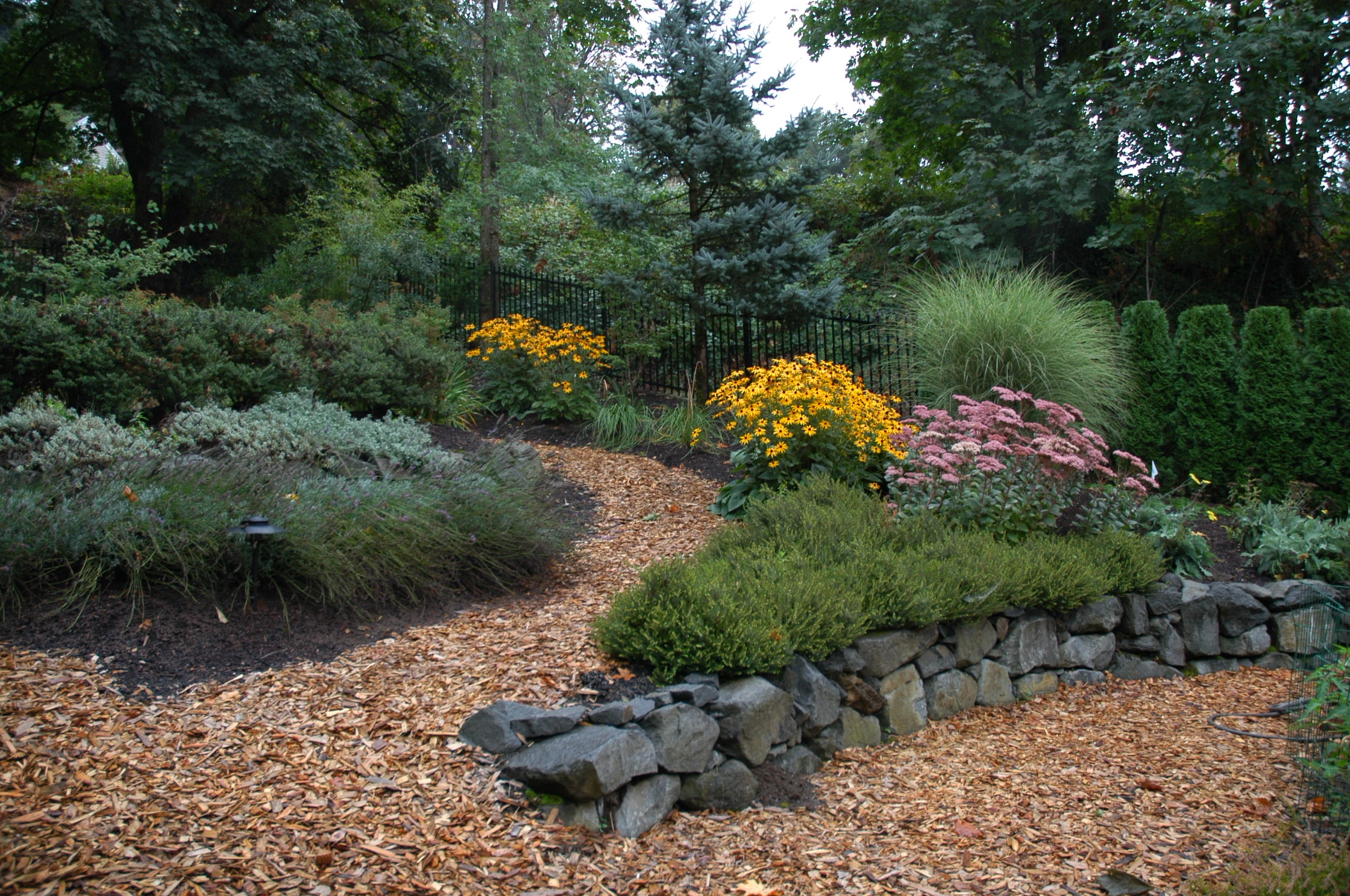 Green Landscaping 5 Tips For A Lush And Eco Friendly Landscape Portland Landscaping Company
