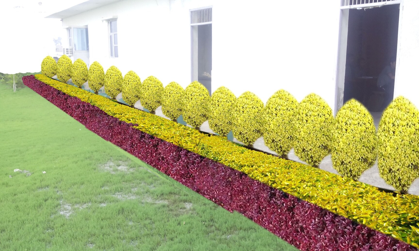Greenworld Landscape Pvt Ltd In Hauz Khas Delhi Best Garden Maintenance Services Near Me In Delhi Justdial