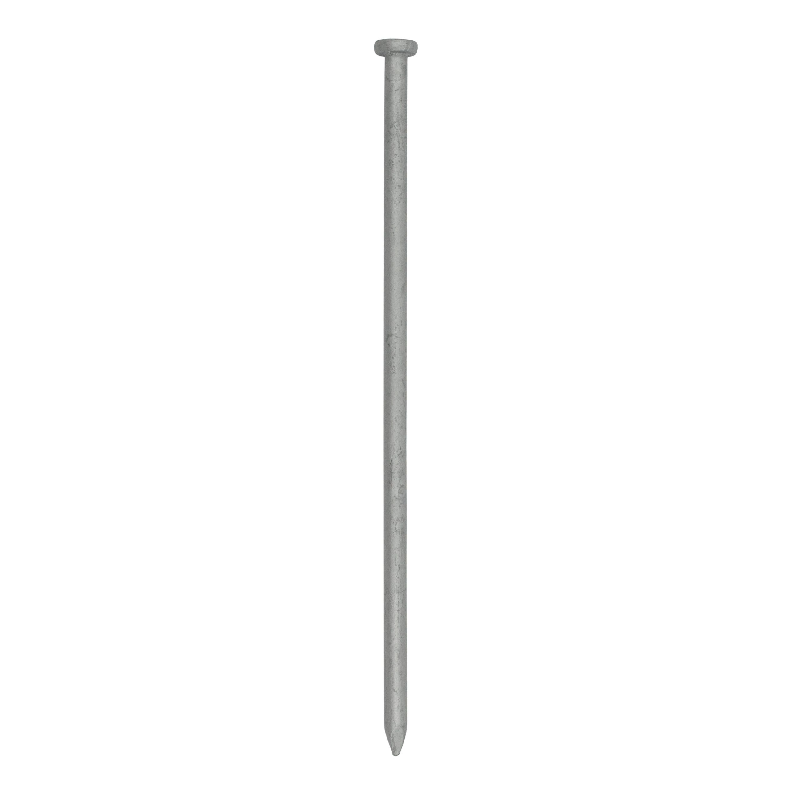 Grip Rite 12 in X 0 375 in Spike 12HGSPK125 At Lowes