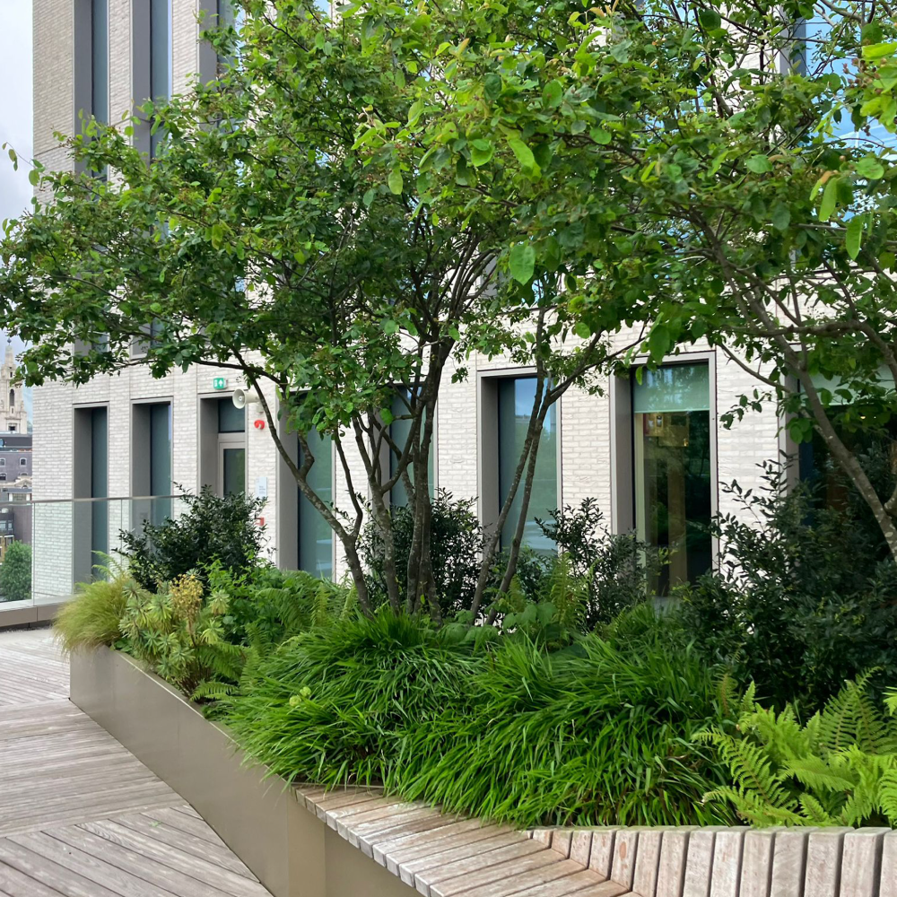 Grounds Maintenance 2024 Private National Landscape Awards