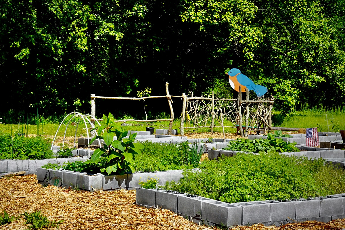 Grow Crabtree Farms