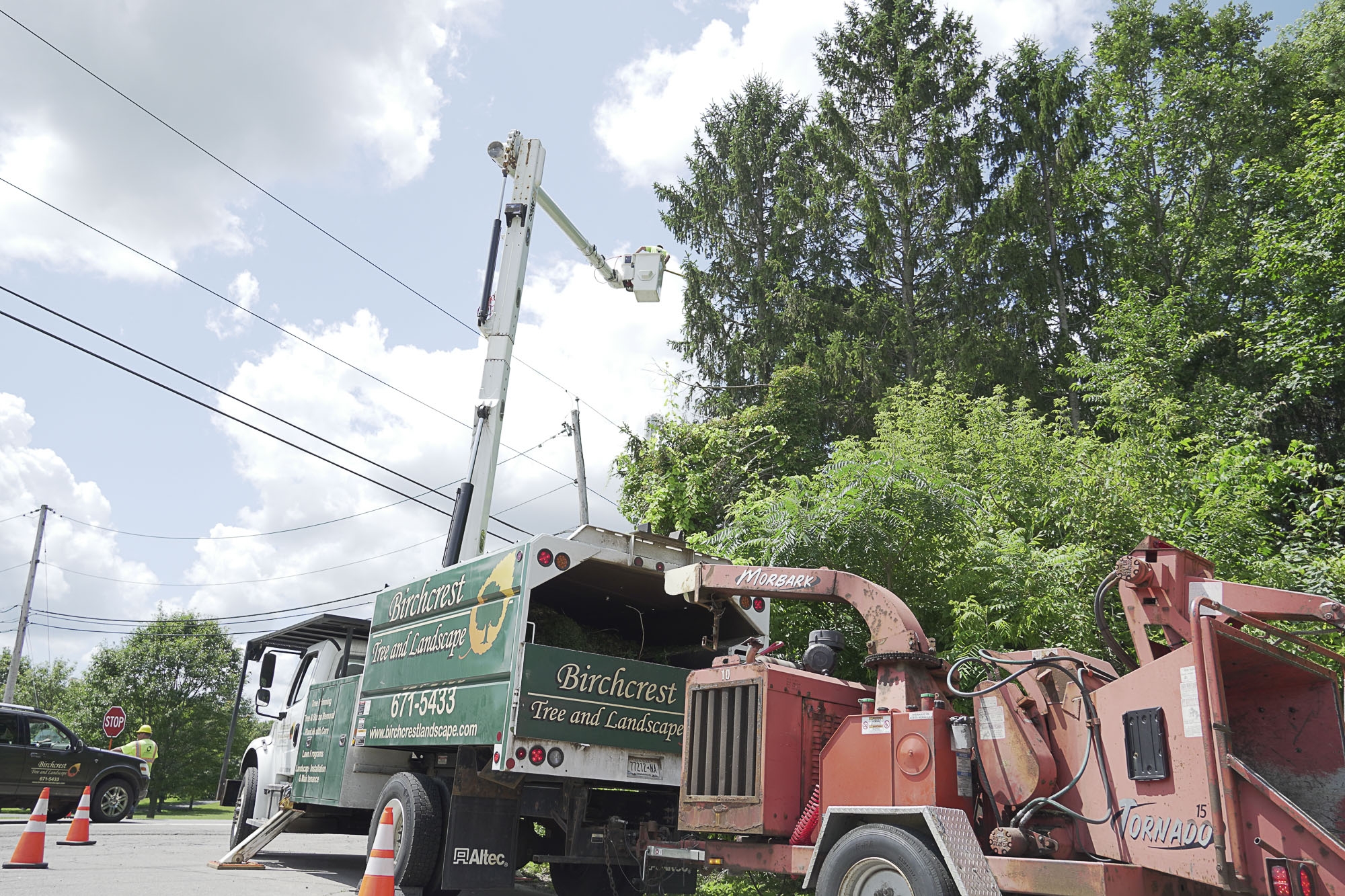 tree and landscape services