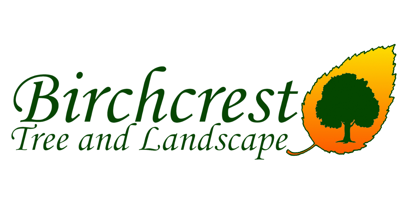Hardscaping In Monroe County NY Birchcrest Tree Landscape