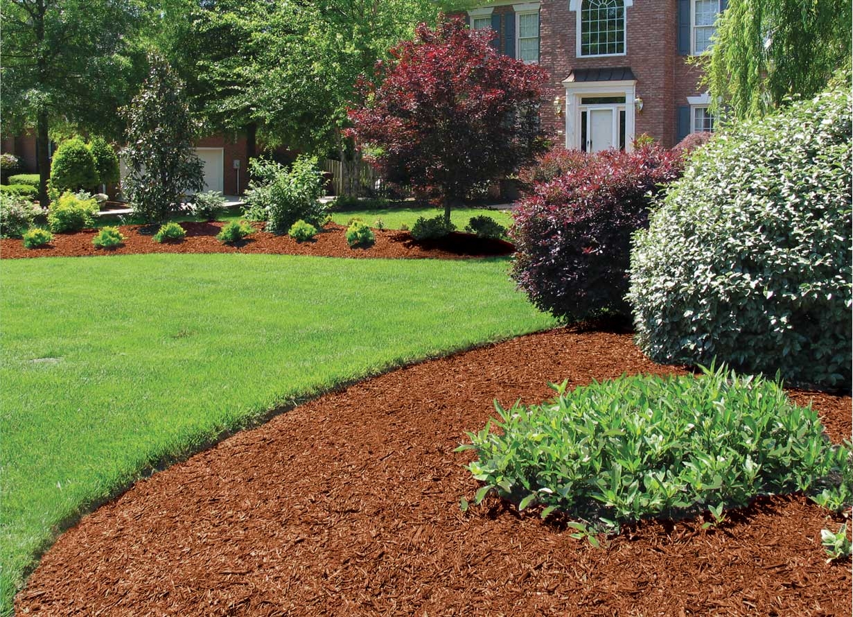 Hemlock Bark Mulch Maple Row Farm
