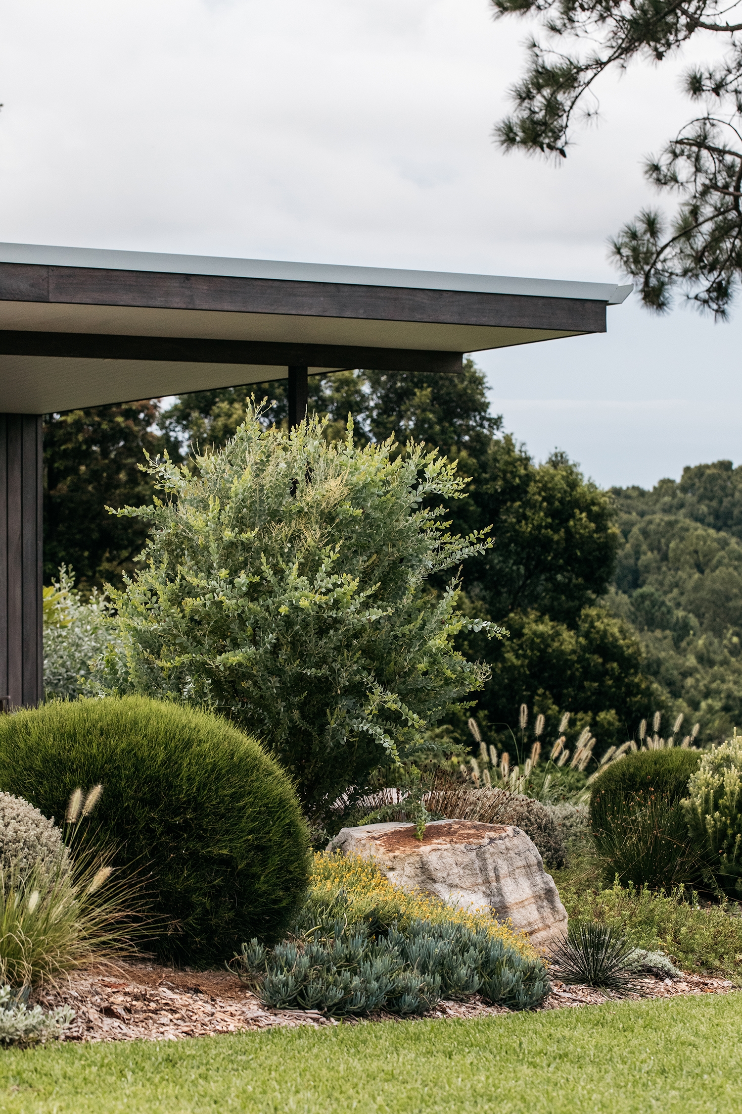 Here s How To Garden Like An Australian And Create The Coolest Garden Sunset Magazine
