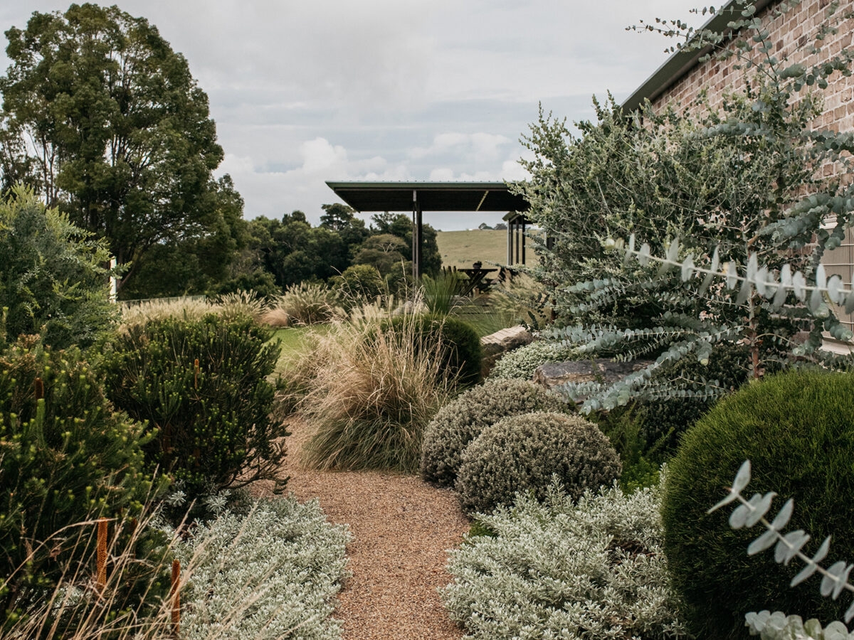 Here s How To Garden Like An Australian And Create The Coolest Garden Sunset Magazine