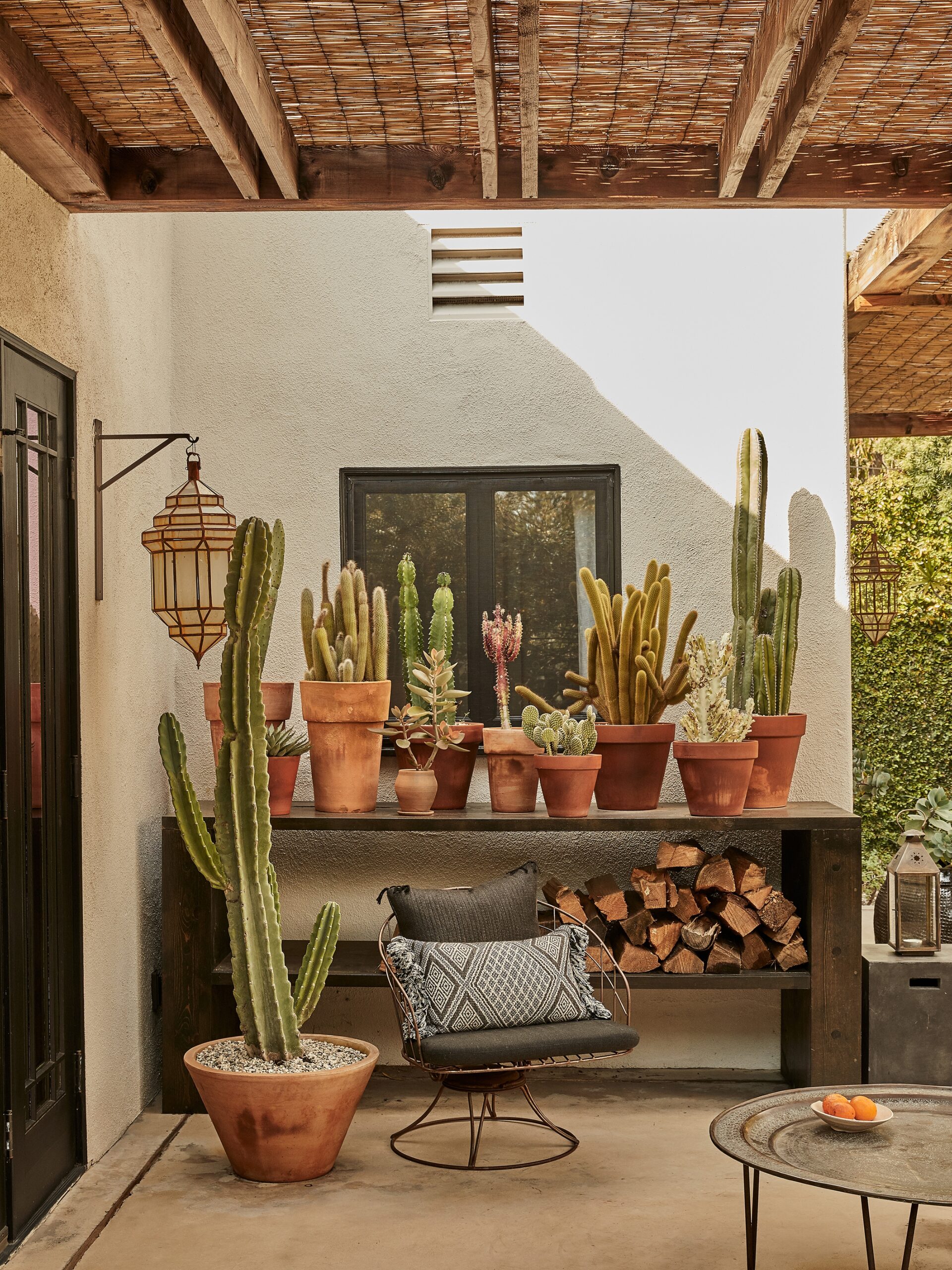 cactus garden ideas landscape