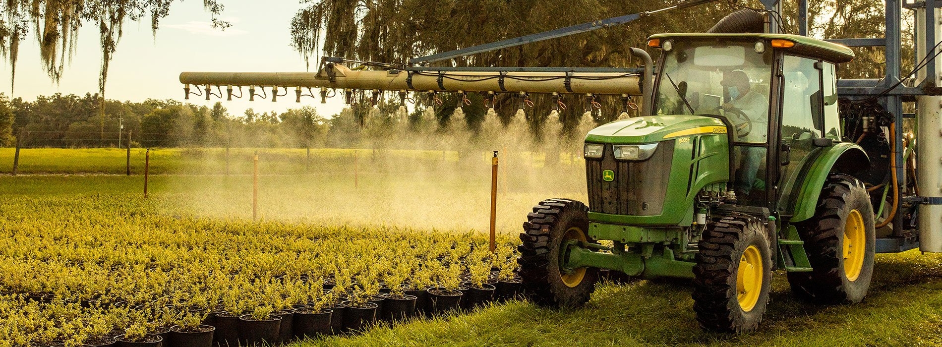 Hibernia Nursery Your Source For The Best Wholesale Nursery Plants