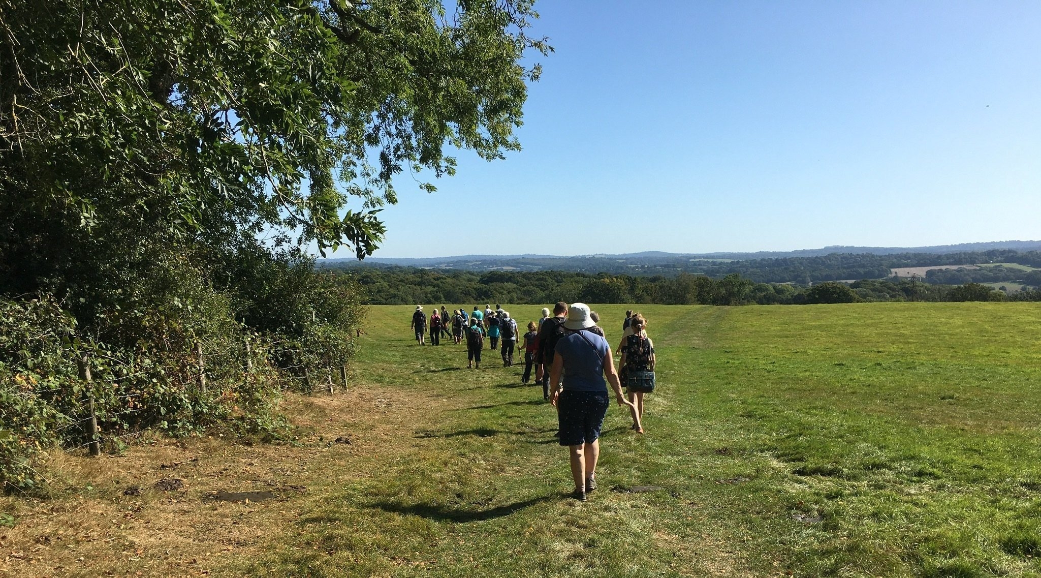 high weald national landscape