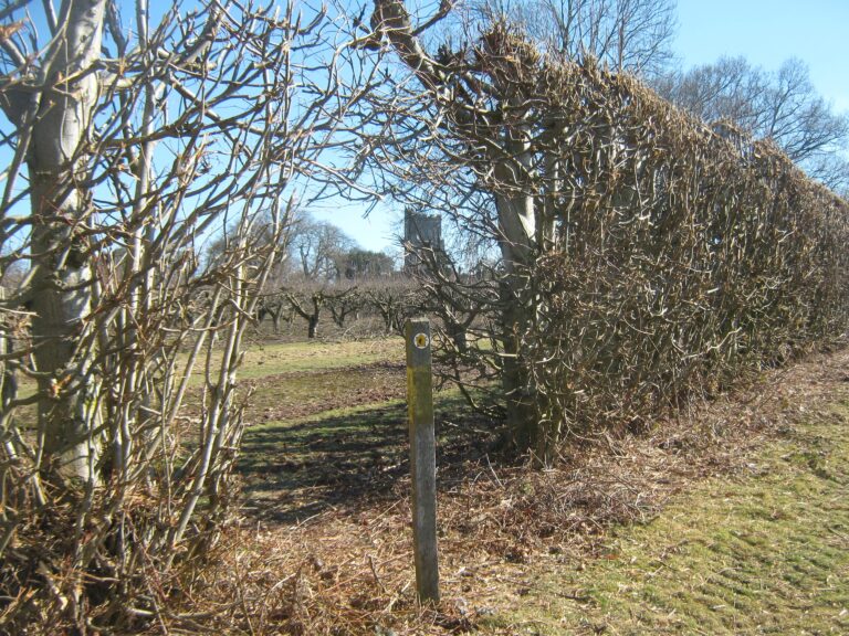High Weald Landscape Trail Wikipedia