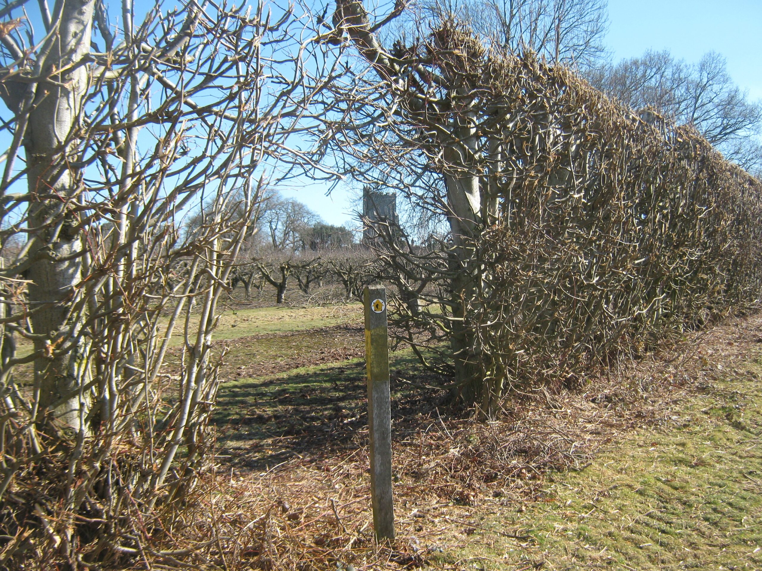 High Weald Landscape Trail Wikipedia
