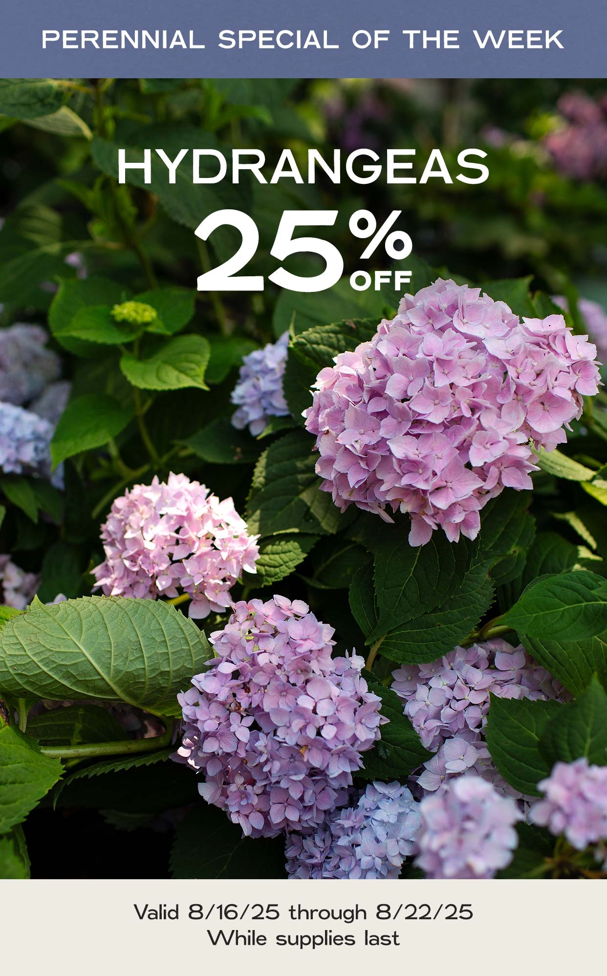 Hoen s Garden Center Landscaping Local Family Owned Business