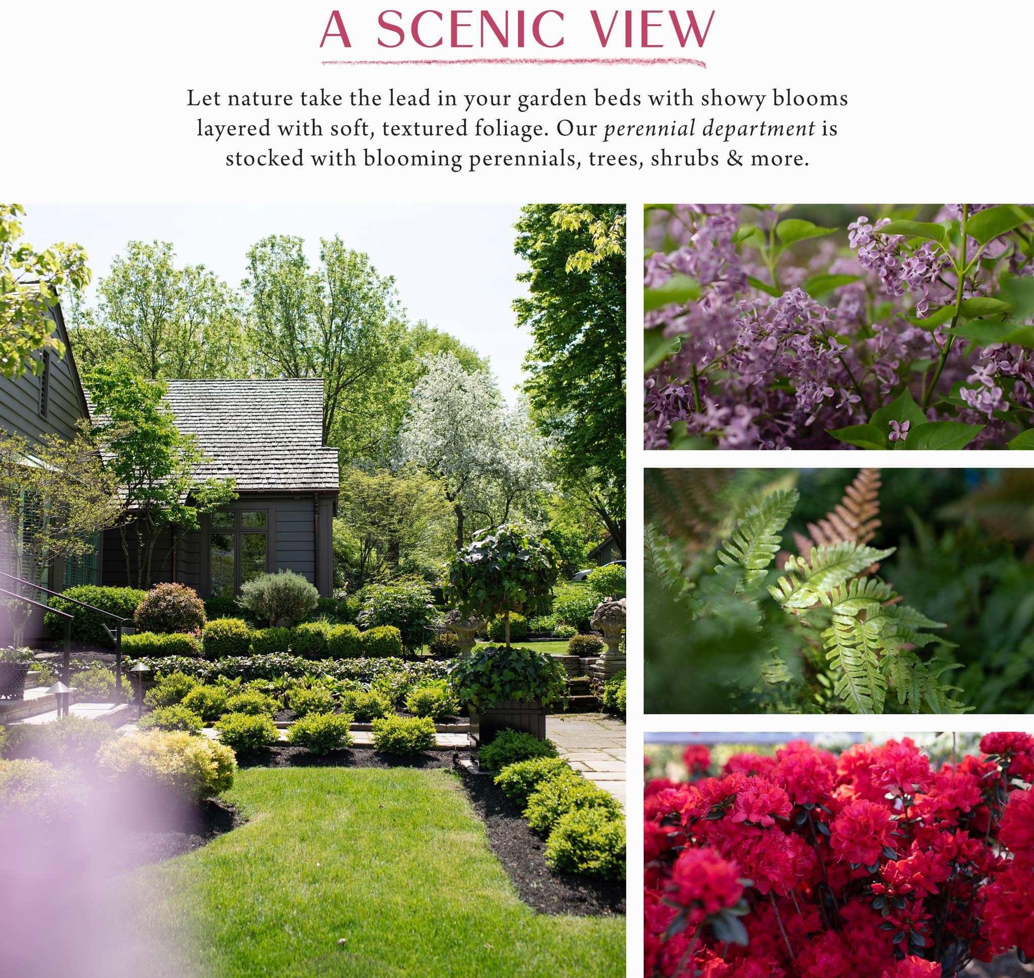 Hoen s Garden Center Landscaping Local Family Owned Business