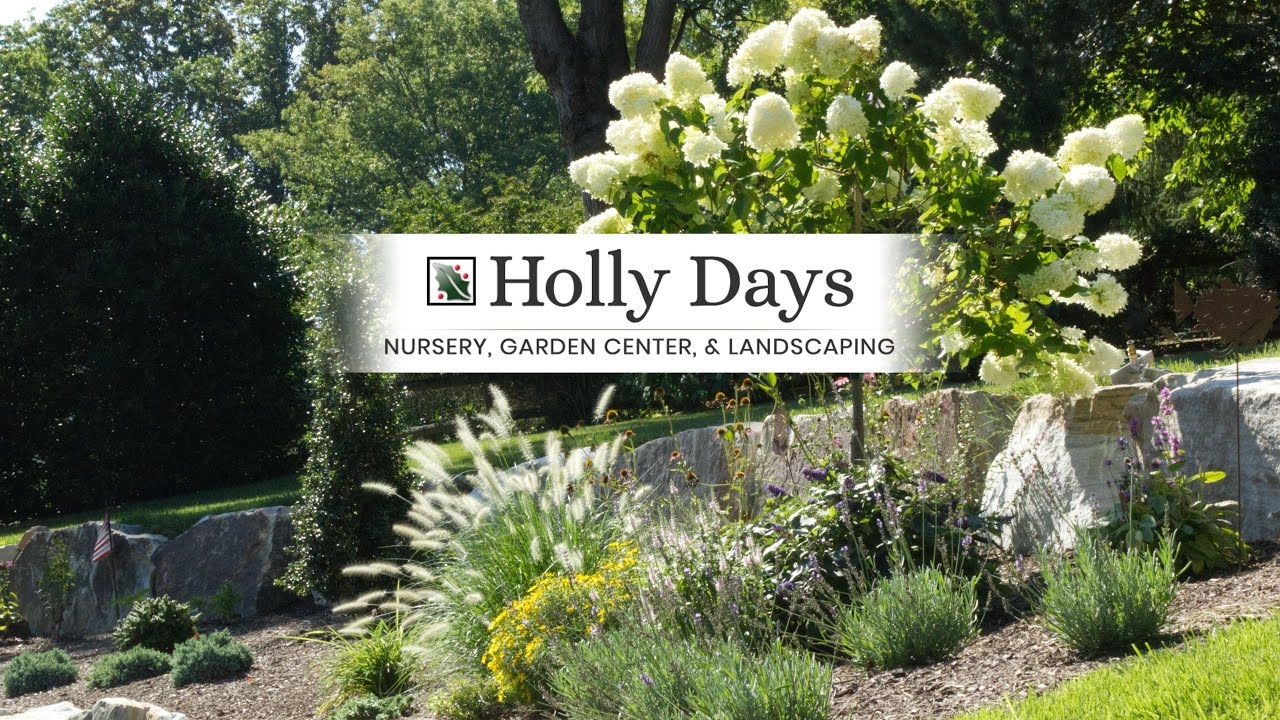 Holly Days Nursery Garden Center Landscaping BBB Business Profile Better Business Bureau Holly Days Nursery Garden Center Landscaping BBB Business Profile Better Business Bureau