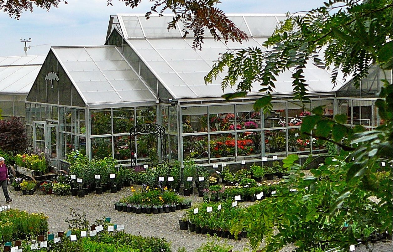 shades of green nursery + landscape